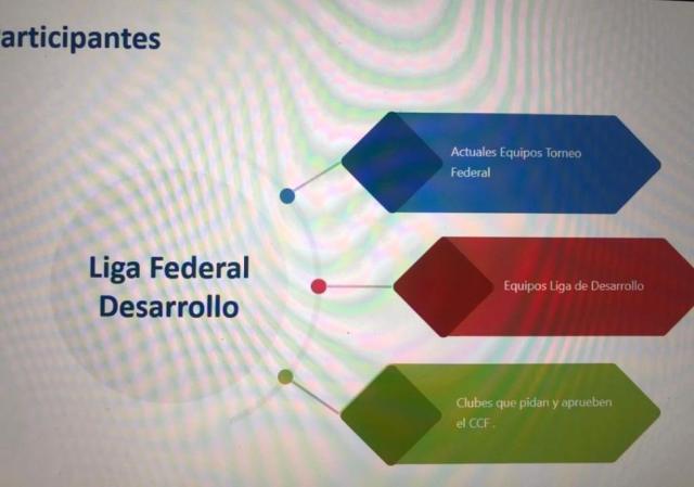 Liga Federal de Desarrollo?